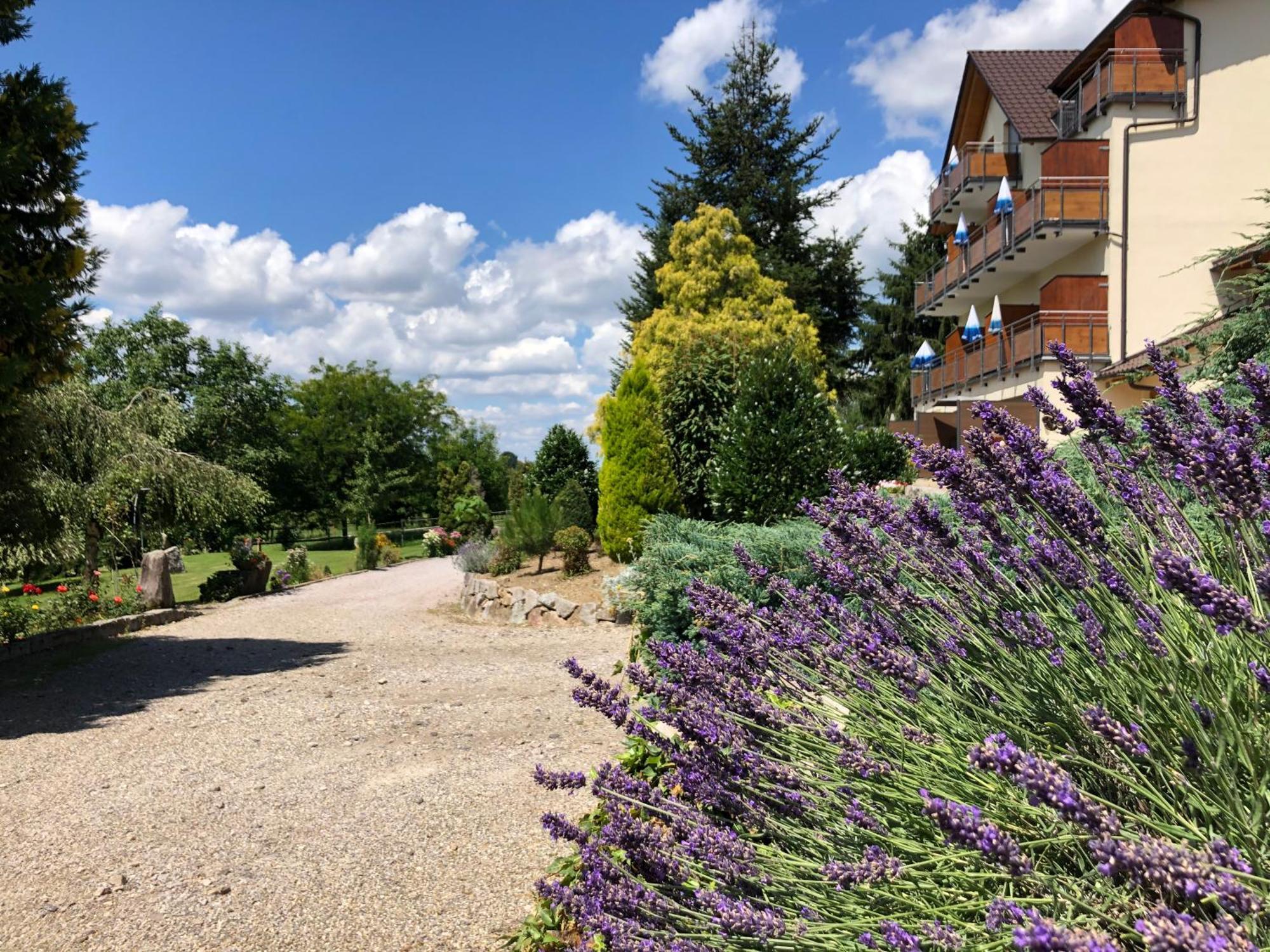 Hotel-Gasthof Rose Oberkirch  Zewnętrze zdjęcie