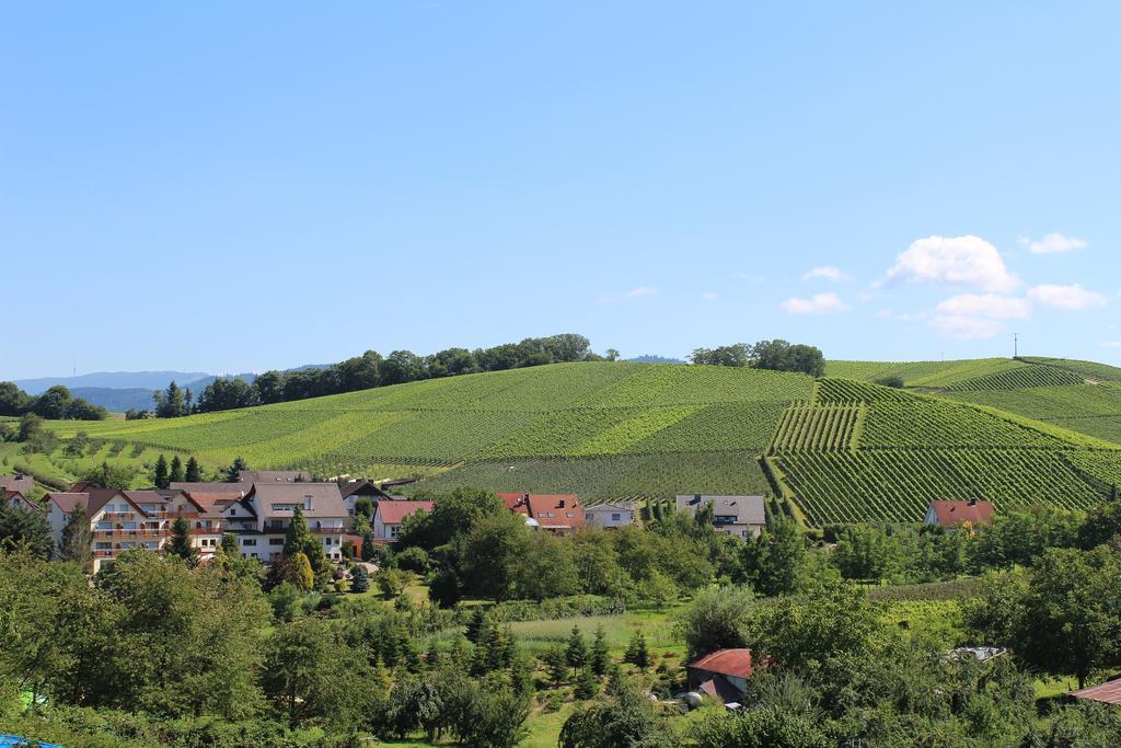Hotel-Gasthof Rose Oberkirch  Zewnętrze zdjęcie